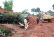 Lâm Đồng Province, Đà Lạt City prepare for heavy rain