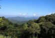 Chinese tourist killed after zipline incident in Thailand