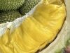 Quiz: Which country does Musang King durian variety originate from?